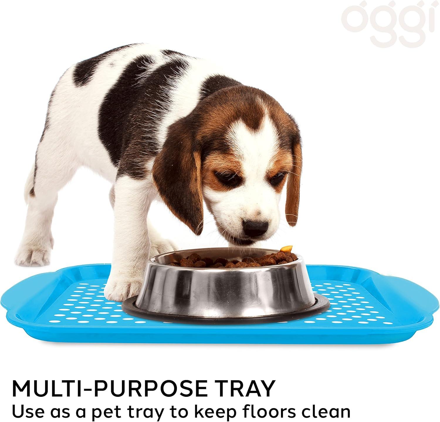 imageOggi OGGI Anti Slip Serving Tray with Handles Black Rectangle Tray  Ideal for Eating Breakfast Food Appetizer Tray Serving 175 x 115 55043Aqua