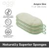 imageOGGI Bambou OdorFree Kitchen Sponges  Natural Kitchen Sponges for Dishes 91 BambooDerived Rayon Cellulose Fiber Reusable Absorbent Hygienic Durable NonScratch Washable  3 pcs 7x4Sage