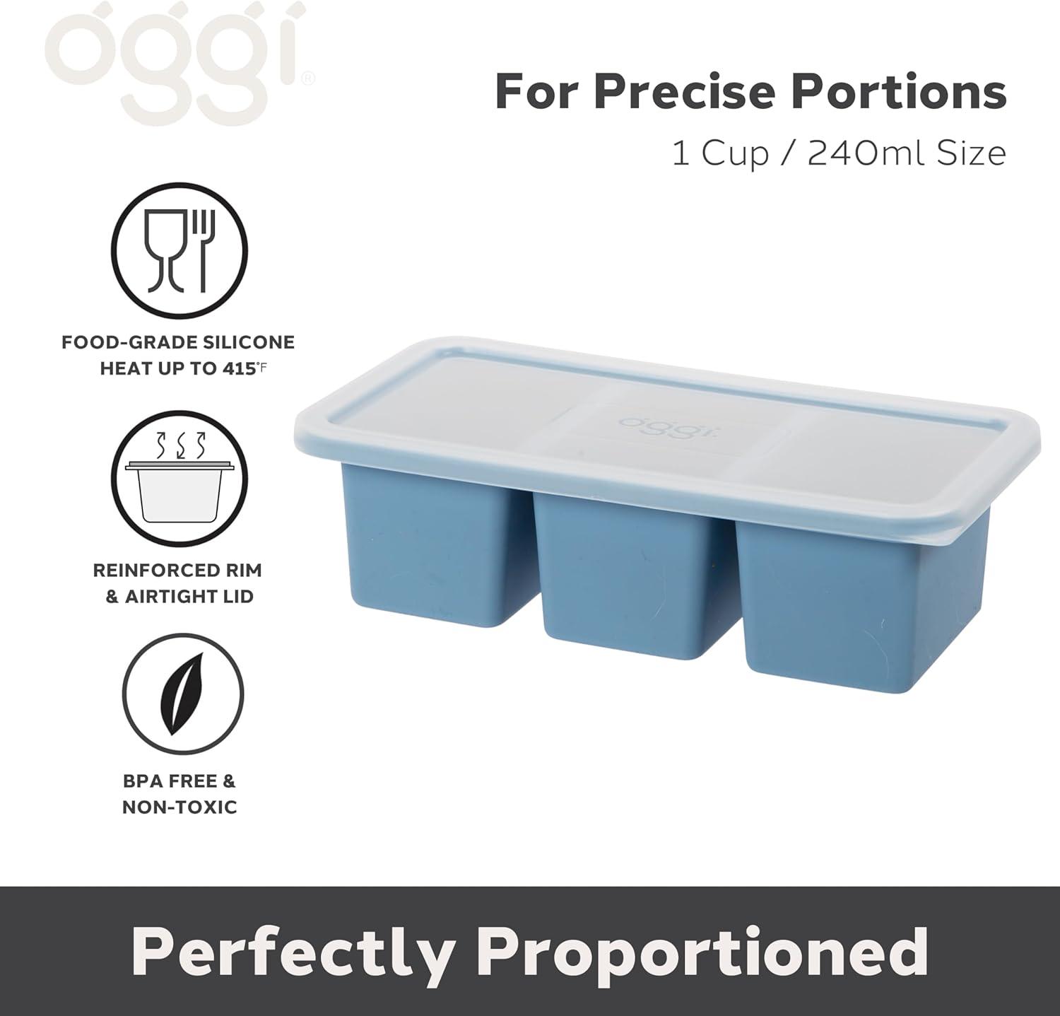 imageOGGI Prep ampamp Portion Silicone Freezer Trays with Lid  Freezer Molds for Food Ice Cube Tray Food Prep Containers Freezer Storage Containers for Soup Smoothie Cubes Broth Leftovers  2 Cup x2Blue