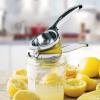 imageOGGI Citrus Press Zinc Alloy Manual Citrus Juicer Ideal Hand Juicer this Citrus Squeezer is a Great Addition to Your Kitchen Accessories Silver