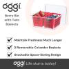 imageOggi Berry Container for Fridge  Double Colander Basket  Ideal Berry Containers for Fridge Includes Berry Colander Insert 875quot x 675quot x 375quot RedRed