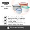 imageOggi Prep Store ampamp Serve Plastic Bowl wSeeThru Lid Dishwasher Microwave ampamp Freezer Safe 4 qt Blue wDk Blue LidBlue wDk Blue Lid