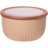 imageOggi Prep Store ampamp Serve Plastic Bowl wSeeThru Lid Dishwasher Microwave ampamp Freezer Safe 4 qt Blue wDk Blue LidBlush wBrick Red Lid