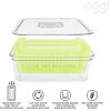 imageOggi Store Fresh Veggie Bin Kitchen Organization Refrigerator Organizer Bins Food Storage Containers Vegetable Storage Clear1225 x 8 x 4