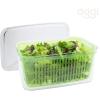 imageOggi Store Fresh Veggie Bin Kitchen Organization Refrigerator Organizer Bins Food Storage Containers Vegetable Storage ClearClear 1225 x 8 x 6