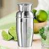 imageOGGI Mini Cocktail Shaker 10oz  Gray Stainless Steel  Ideal Single Serve Martini Shaker Great Small Size Suitable for Mini Bar On the Go Travel RV CampingStainless Steel