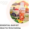 imageOGGI Clear Cocktail Shaker  24 oz  700 ml Clear Durable Plastic Construction Built in Strainer  Ideal Home Bar Drink Mixer Bartender Kit Essential Bar Accessories AquaAqua