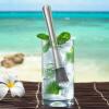 imageOGGI Long Muddler for Cocktails Stainless Steel 95quot24cm  Ideal Bartender Accessories Cocktail Accessories Drink Muddler Metal MuddlerStainless Steel