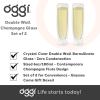 imageOggi Beer Double Wall Insulated Glass Mug Ideal for IPA ale lager stout pilsner Beer Stays Cool Longer Even Outdoors Visually Stunning 14oz  400ml Set of 2Clear