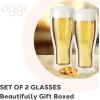 imageOggi Beer Double Wall Insulated Glass Mug Ideal for IPA ale lager stout pilsner Beer Stays Cool Longer Even Outdoors Visually Stunning 14oz  400ml Set of 2Clear