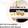 imageOggi Beer Double Wall Insulated Glass Mug Ideal for IPA ale lager stout pilsner Beer Stays Cool Longer Even Outdoors Visually Stunning 14oz  400ml Set of 2Clear