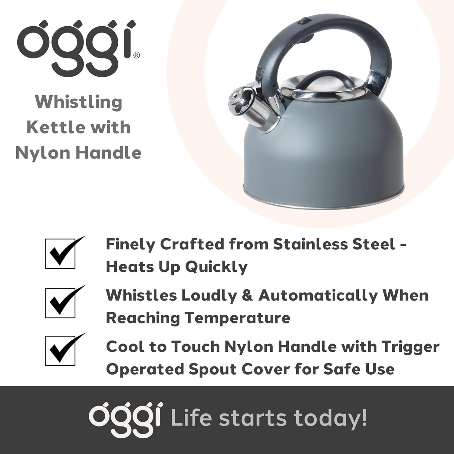imageOGGI Tea Kettle for Stove Top  64oz  19lt Stainless Steel with Loud Whistle Ideal Hot Water Kettle and Water Boiler  GrayCharcoal