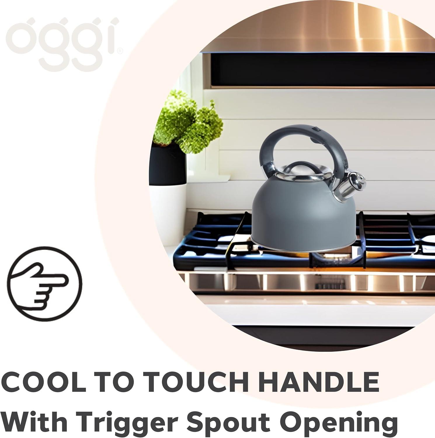 imageOGGI Tea Kettle for Stove Top  64oz  19lt Stainless Steel with Loud Whistle Ideal Hot Water Kettle and Water Boiler  GrayCharcoal
