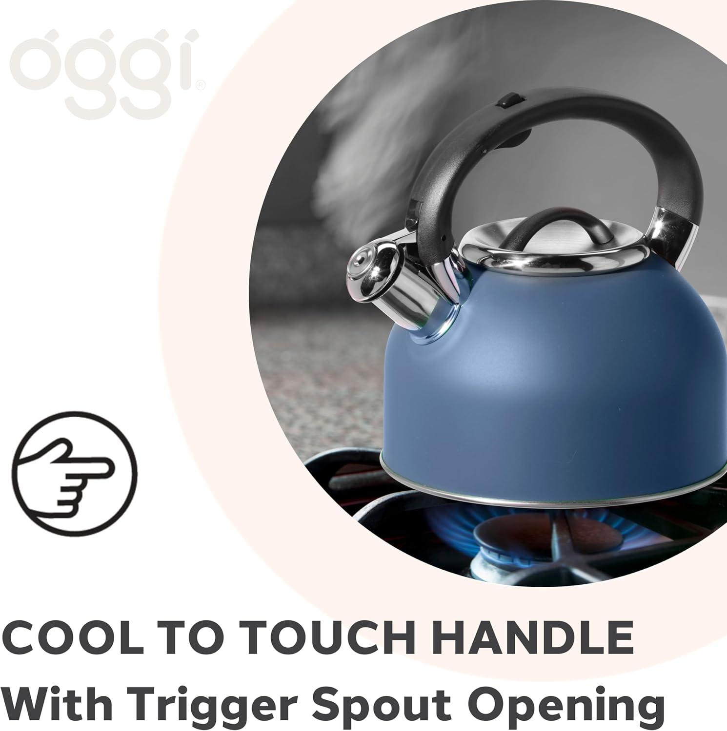 imageOGGI Tea Kettle for Stove Top  64oz  19lt Stainless Steel with Loud Whistle Ideal Hot Water Kettle and Water Boiler  Silver MirrorBlue