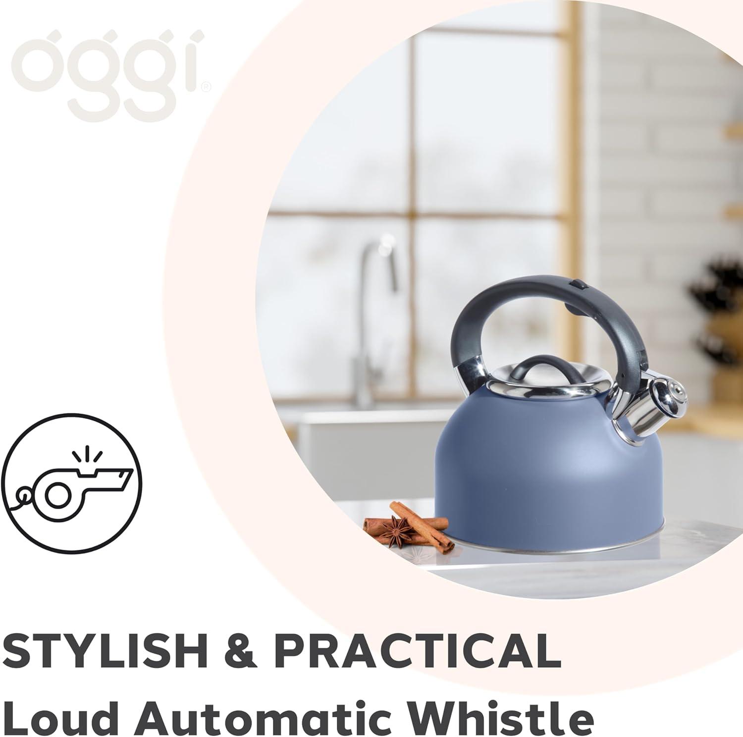 imageOGGI Tea Kettle for Stove Top  64oz  19lt Stainless Steel with Loud Whistle Ideal Hot Water Kettle and Water Boiler  Silver MirrorBlue