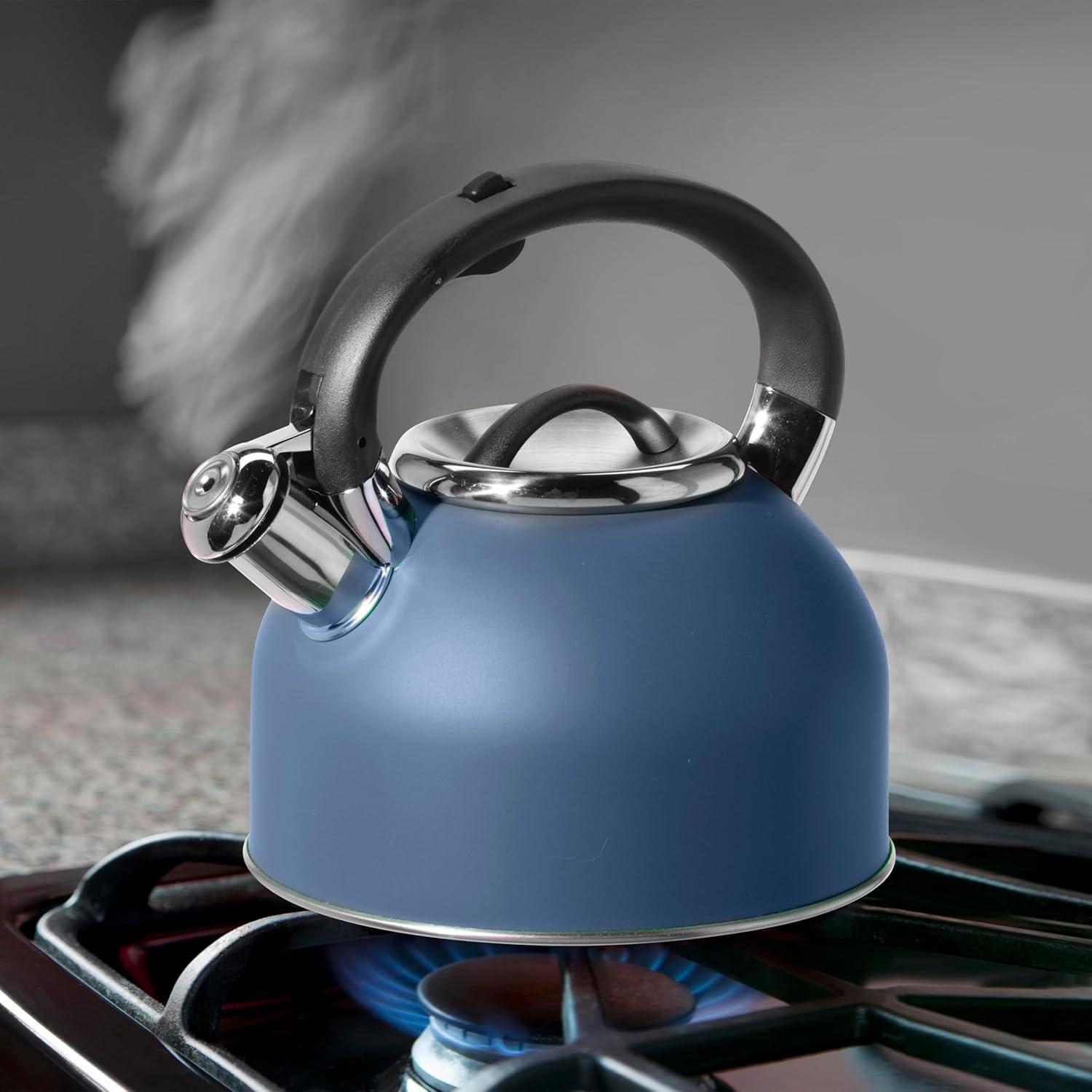 imageOGGI Tea Kettle for Stove Top  64oz  19lt Stainless Steel with Loud Whistle Ideal Hot Water Kettle and Water Boiler  Silver MirrorBlue