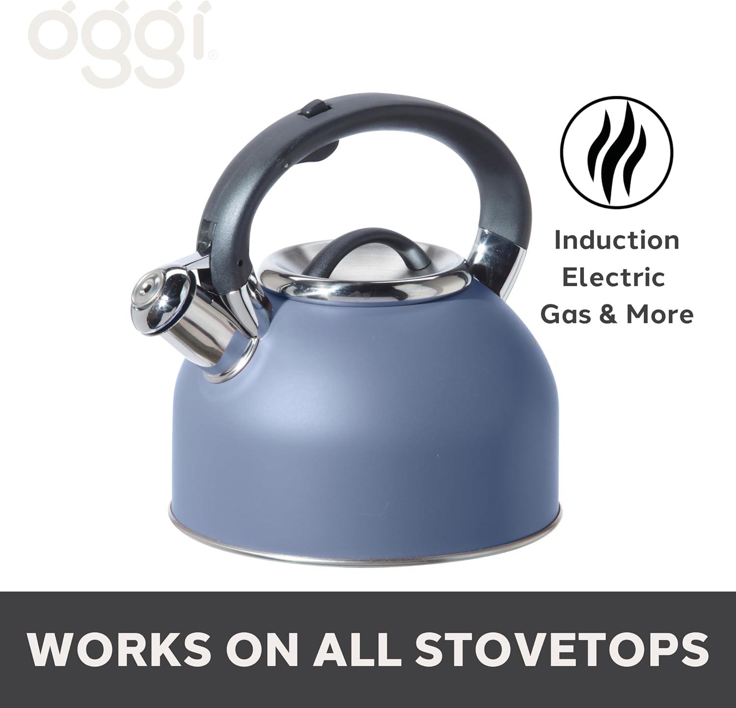 imageOGGI Tea Kettle for Stove Top  64oz  19lt Stainless Steel with Loud Whistle Ideal Hot Water Kettle and Water Boiler  Silver MirrorBlue