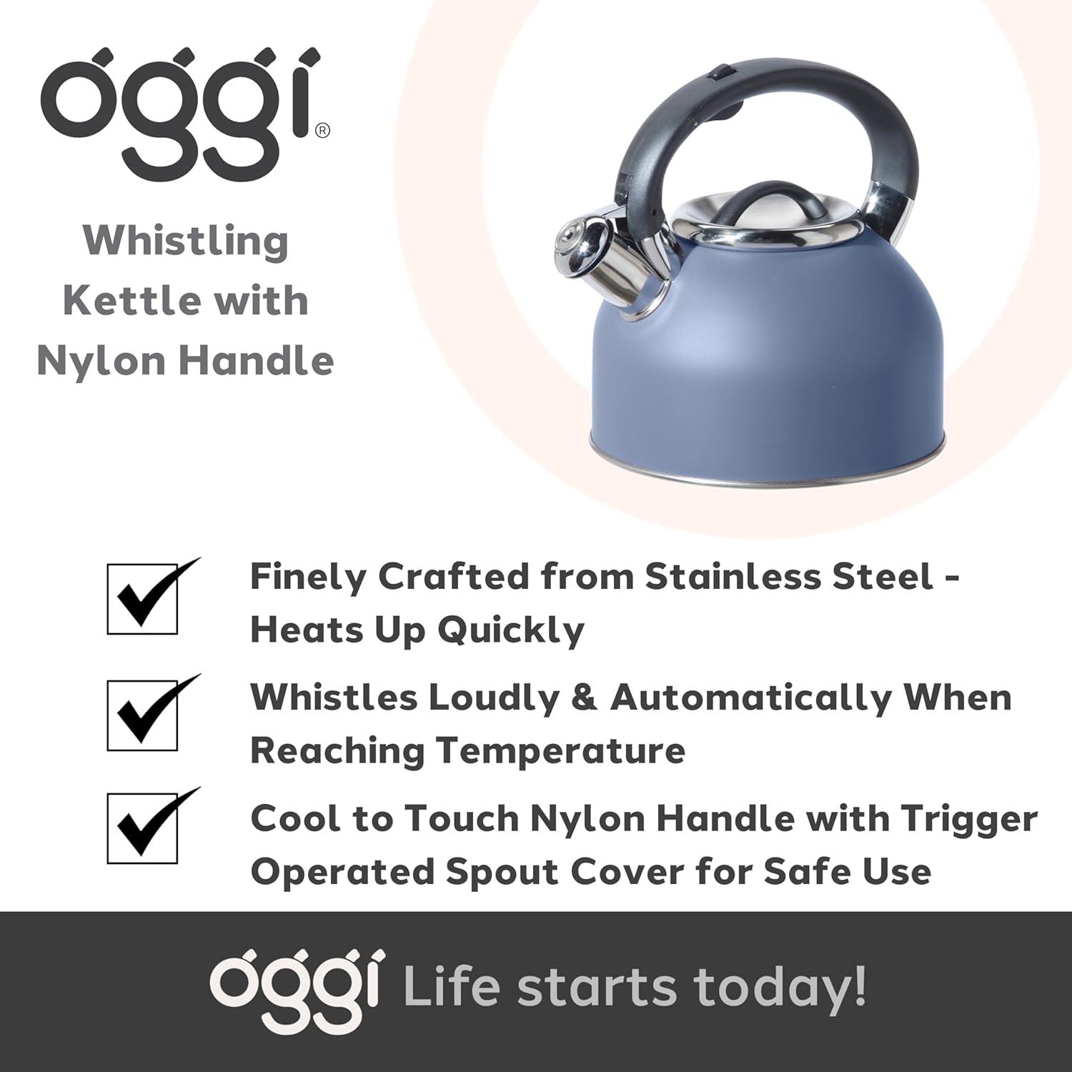 imageOGGI Tea Kettle for Stove Top  64oz  19lt Stainless Steel with Loud Whistle Ideal Hot Water Kettle and Water Boiler  Silver MirrorBlue