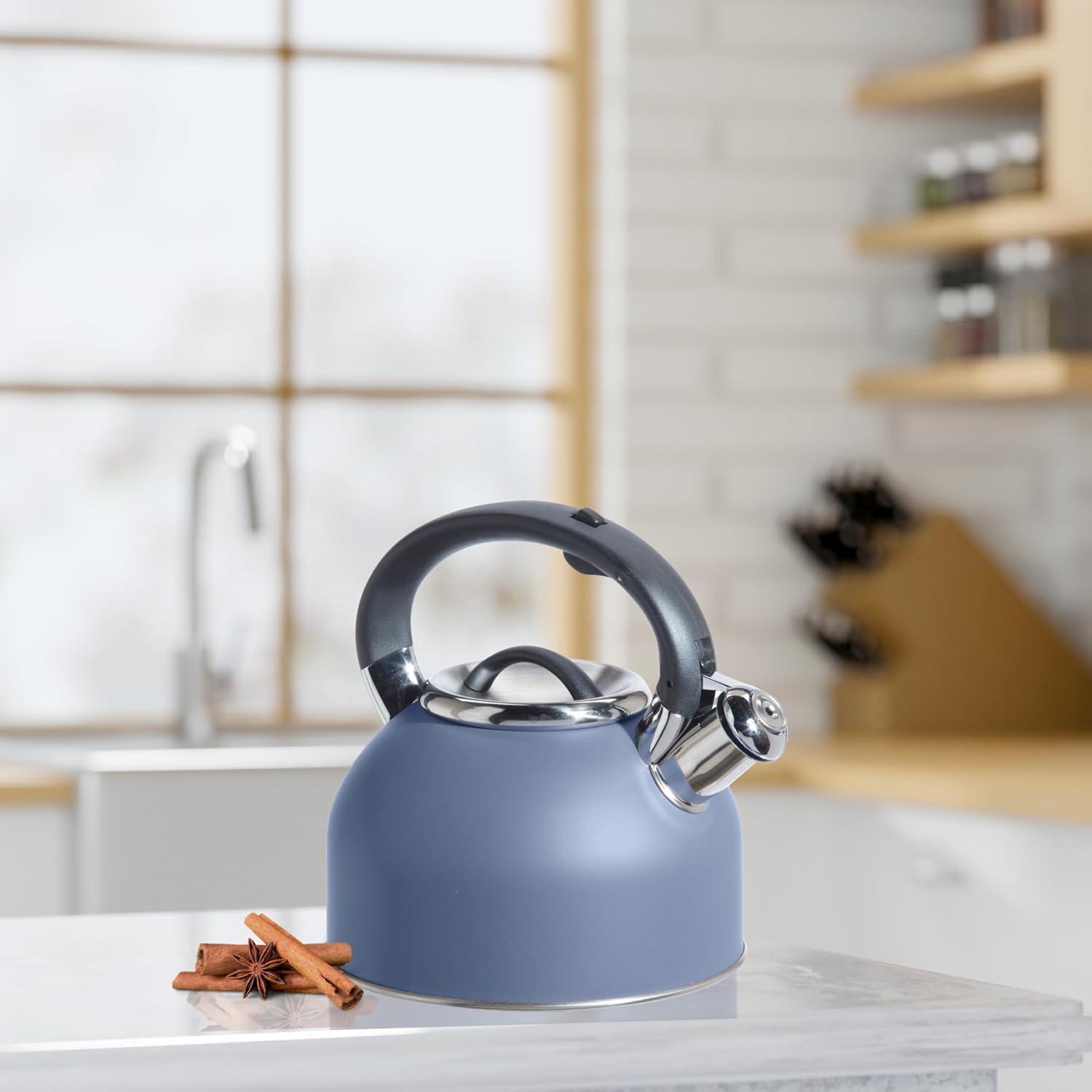 imageOGGI Tea Kettle for Stove Top  64oz  19lt Stainless Steel with Loud Whistle Ideal Hot Water Kettle and Water Boiler  Silver MirrorBlue