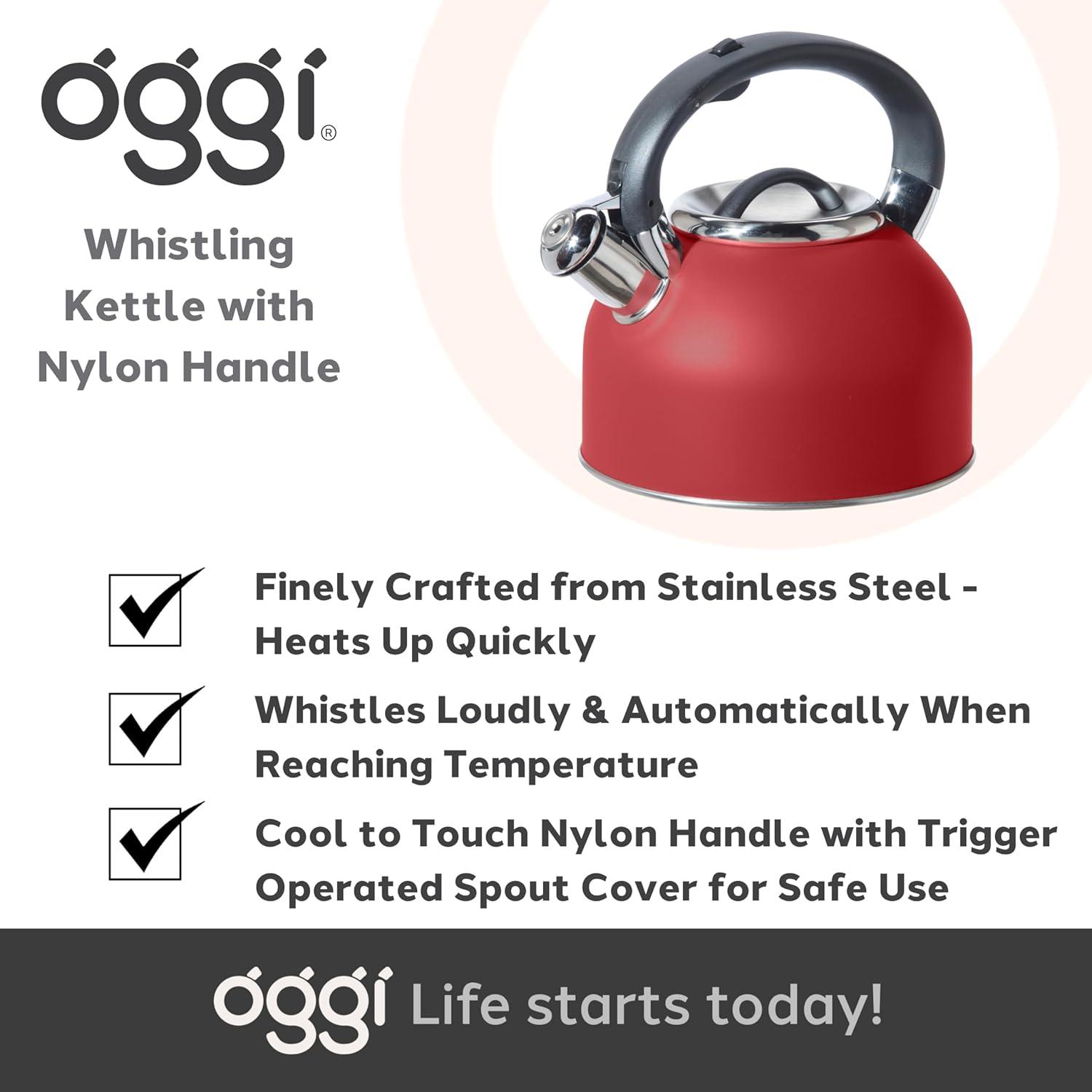 imageOGGI Tea Kettle for Stove Top  64oz  19lt Stainless Steel with Loud Whistle Ideal Hot Water Kettle and Water Boiler  Silver MirrorBrick Red