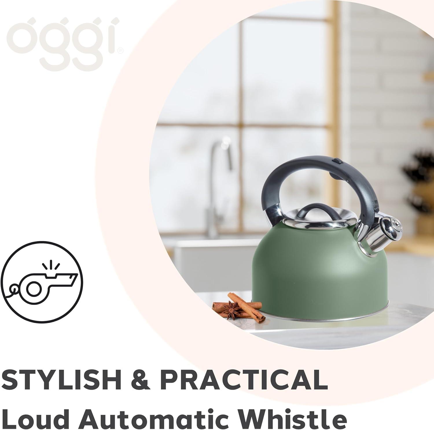 imageOGGI Tea Kettle for Stove Top  64oz  19lt Stainless Steel with Loud Whistle Ideal Hot Water Kettle and Water Boiler  Silver MirrorSage