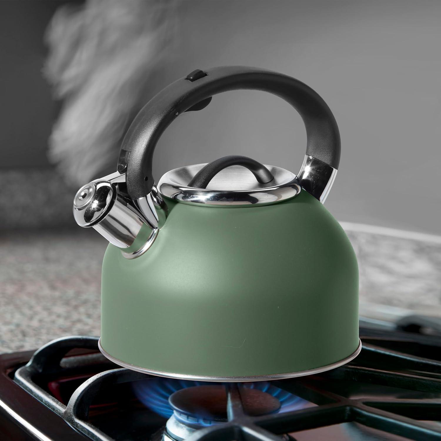 imageOGGI Tea Kettle for Stove Top  64oz  19lt Stainless Steel with Loud Whistle Ideal Hot Water Kettle and Water Boiler  Silver MirrorSage