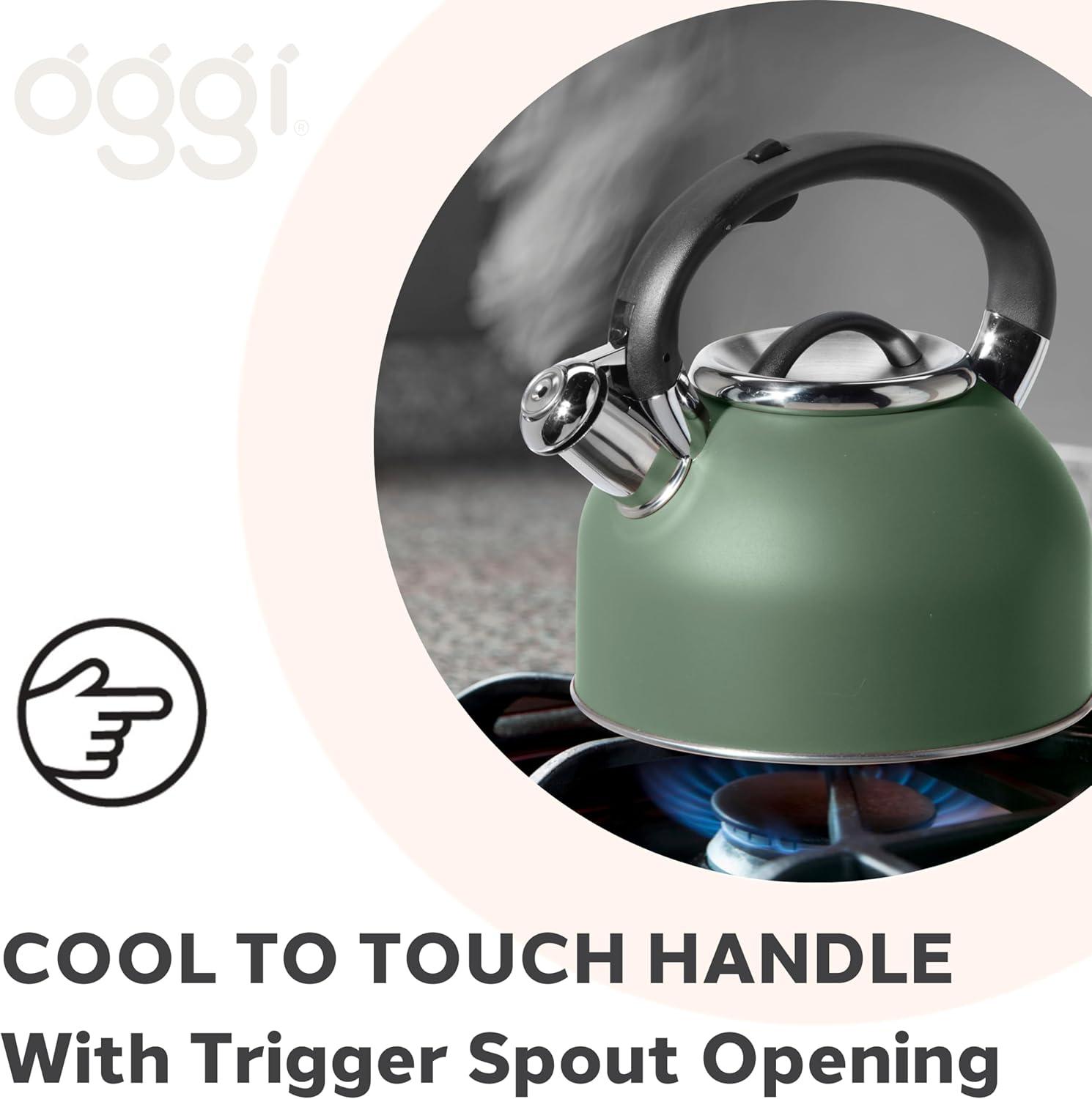 imageOGGI Tea Kettle for Stove Top  64oz  19lt Stainless Steel with Loud Whistle Ideal Hot Water Kettle and Water Boiler  Silver MirrorSage