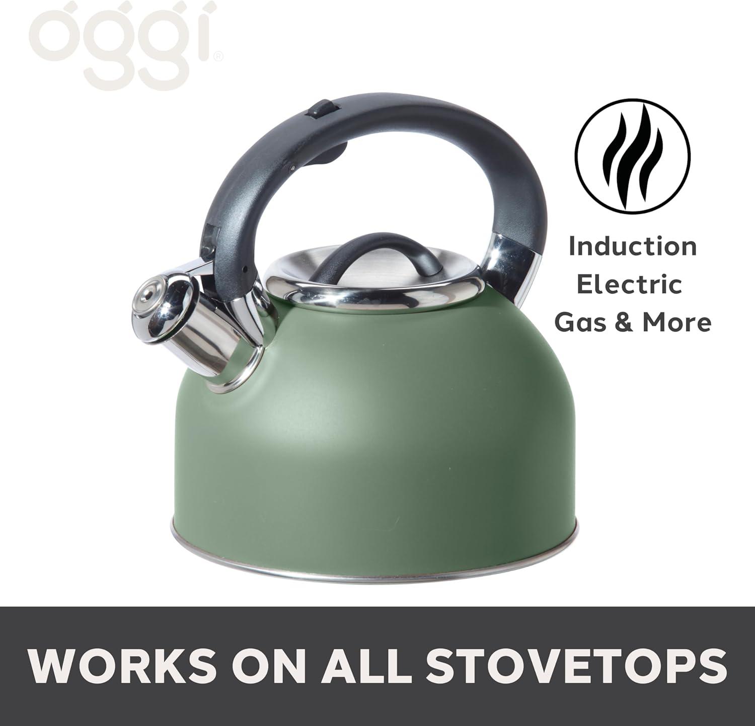 imageOGGI Tea Kettle for Stove Top  64oz  19lt Stainless Steel with Loud Whistle Ideal Hot Water Kettle and Water Boiler  Silver MirrorSage