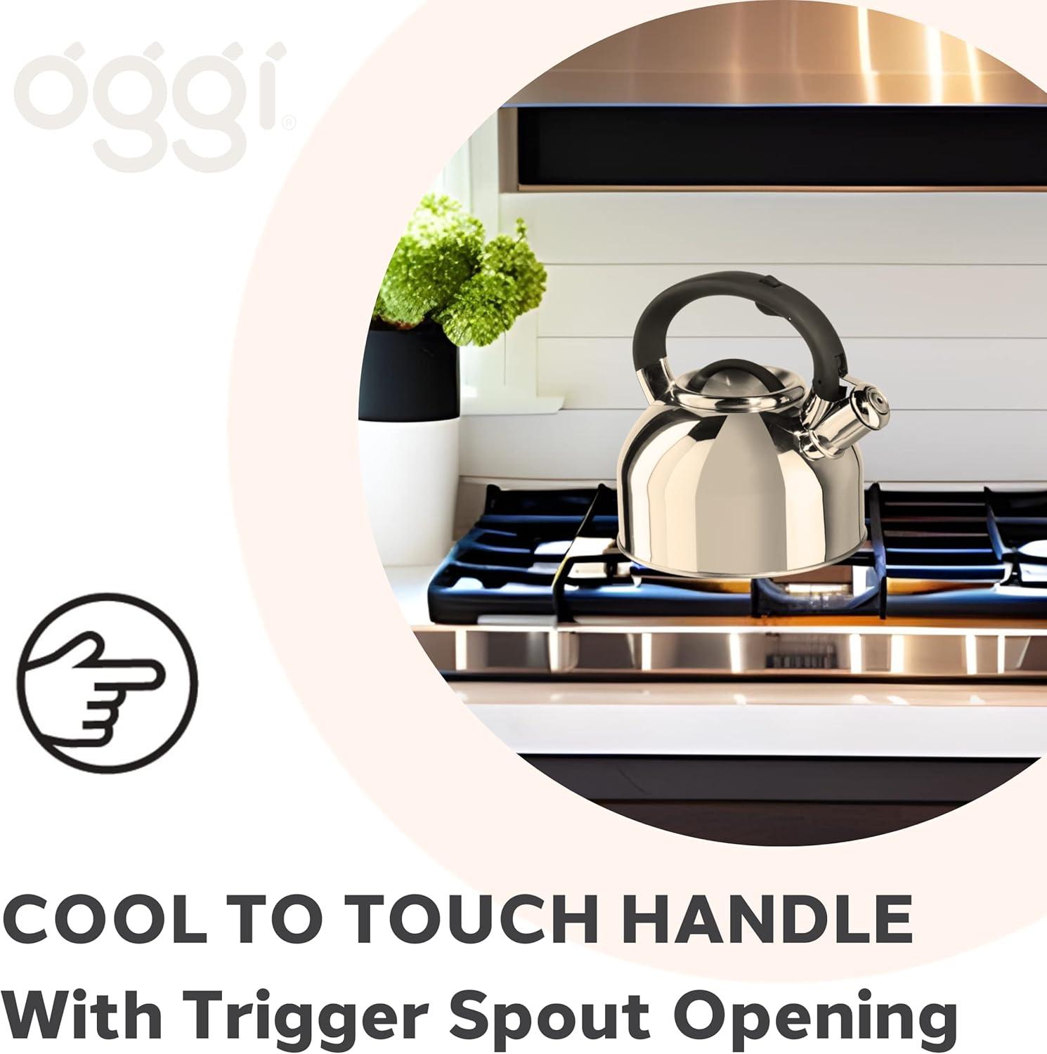 imageOGGI Tea Kettle for Stove Top  64oz  19lt Stainless Steel with Loud Whistle Ideal Hot Water Kettle and Water Boiler  Silver MirrorSilver Mirror