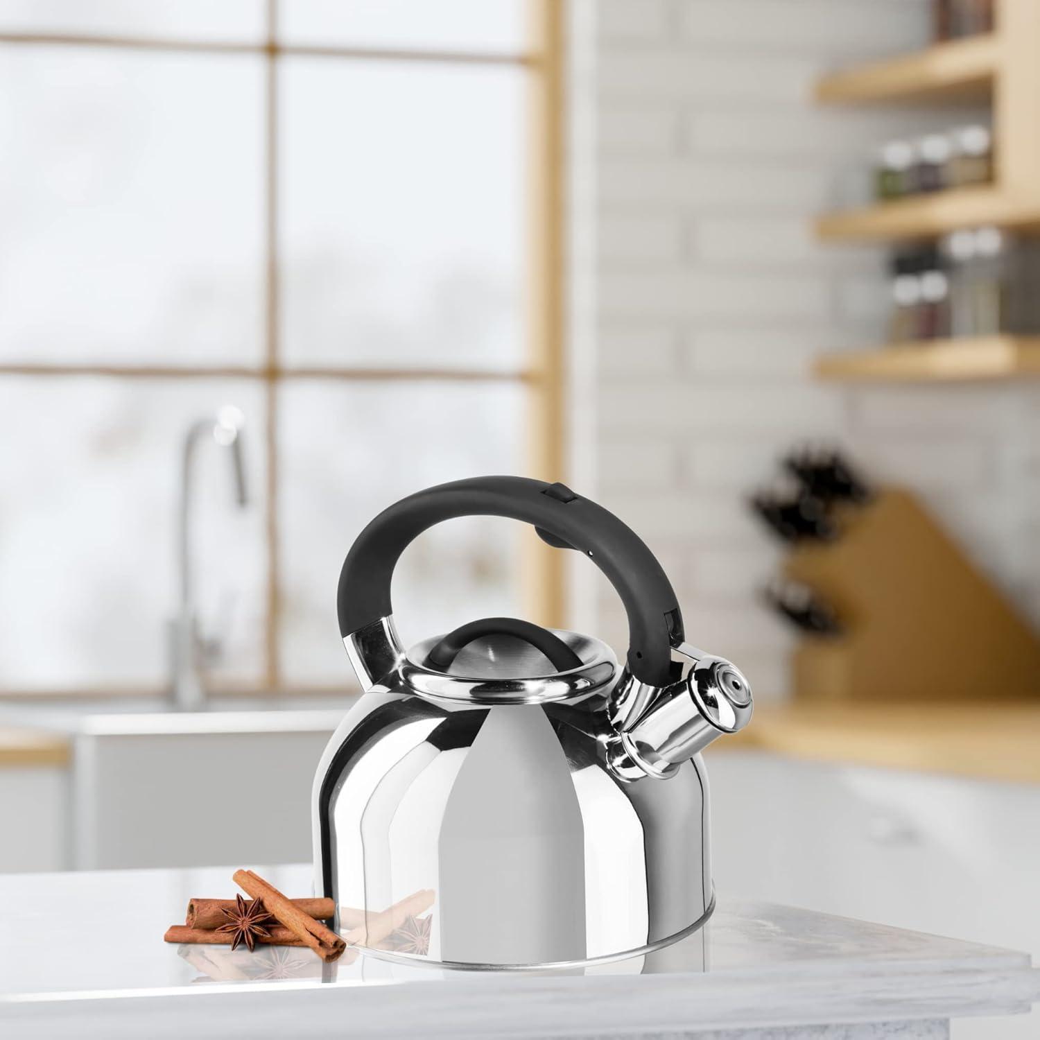 imageOGGI Tea Kettle for Stove Top  64oz  19lt Stainless Steel with Loud Whistle Ideal Hot Water Kettle and Water Boiler  Silver MirrorSilver Mirror