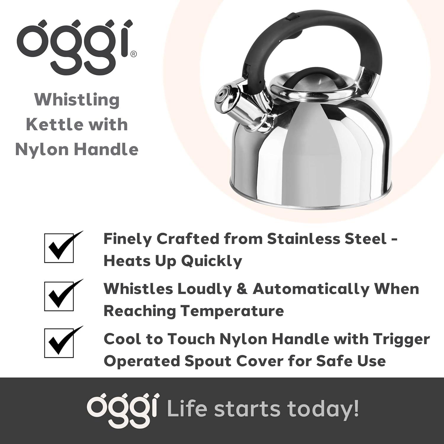 imageOGGI Tea Kettle for Stove Top  64oz  19lt Stainless Steel with Loud Whistle Ideal Hot Water Kettle and Water Boiler  Silver MirrorSilver Mirror