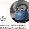 imageOGGI Tea Kettle for Stove Top  64oz  19lt Stainless Steel with Loud Whistle Ideal Hot Water Kettle and Water Boiler  Silver MirrorBlue