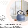 imageOGGI Tea Kettle for Stove Top  64oz  19lt Stainless Steel with Loud Whistle Ideal Hot Water Kettle and Water Boiler  Silver MirrorBlue