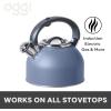 imageOGGI Tea Kettle for Stove Top  64oz  19lt Stainless Steel with Loud Whistle Ideal Hot Water Kettle and Water Boiler  Silver MirrorBlue