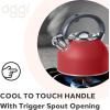 imageOGGI Tea Kettle for Stove Top  64oz  19lt Stainless Steel with Loud Whistle Ideal Hot Water Kettle and Water Boiler  Silver MirrorBrick Red