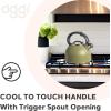 imageOGGI Tea Kettle for Stove Top  64oz  19lt Stainless Steel with Loud Whistle Ideal Hot Water Kettle and Water Boiler  Silver MirrorOlive