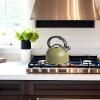 imageOGGI Tea Kettle for Stove Top  64oz  19lt Stainless Steel with Loud Whistle Ideal Hot Water Kettle and Water Boiler  Silver MirrorOlive