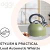imageOGGI Tea Kettle for Stove Top  64oz  19lt Stainless Steel with Loud Whistle Ideal Hot Water Kettle and Water Boiler  Silver MirrorOlive