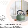 imageOGGI Tea Kettle for Stove Top  64oz  19lt Stainless Steel with Loud Whistle Ideal Hot Water Kettle and Water Boiler  Silver MirrorSage