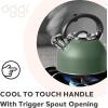 imageOGGI Tea Kettle for Stove Top  64oz  19lt Stainless Steel with Loud Whistle Ideal Hot Water Kettle and Water Boiler  Silver MirrorSage