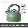 imageOGGI Tea Kettle for Stove Top  64oz  19lt Stainless Steel with Loud Whistle Ideal Hot Water Kettle and Water Boiler  Silver MirrorSage