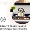 imageOGGI Tea Kettle for Stove Top  64oz  19lt Stainless Steel with Loud Whistle Ideal Hot Water Kettle and Water Boiler  Silver MirrorSilver Mirror