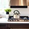 imageOGGI Tea Kettle for Stove Top  64oz  19lt Stainless Steel with Loud Whistle Ideal Hot Water Kettle and Water Boiler  Silver MirrorSilver Mirror