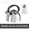 imageOGGI Tea Kettle for Stove Top  64oz  19lt Stainless Steel with Loud Whistle Ideal Hot Water Kettle and Water Boiler  Silver MirrorSilver Mirror