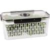 imageOggi Produce Containers for Fridge with Time Tracking  Ideal for Fruit and Vegetable Storage Fruit Storage Containers Berry Containers for Fridge Lettuce Keeper  95x 675x46Large  13 x 7125 x 575
